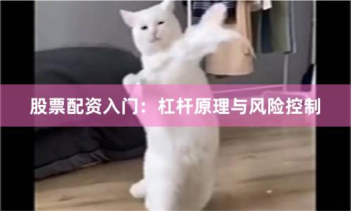 股票配资入门：杠杆原理与风险控制